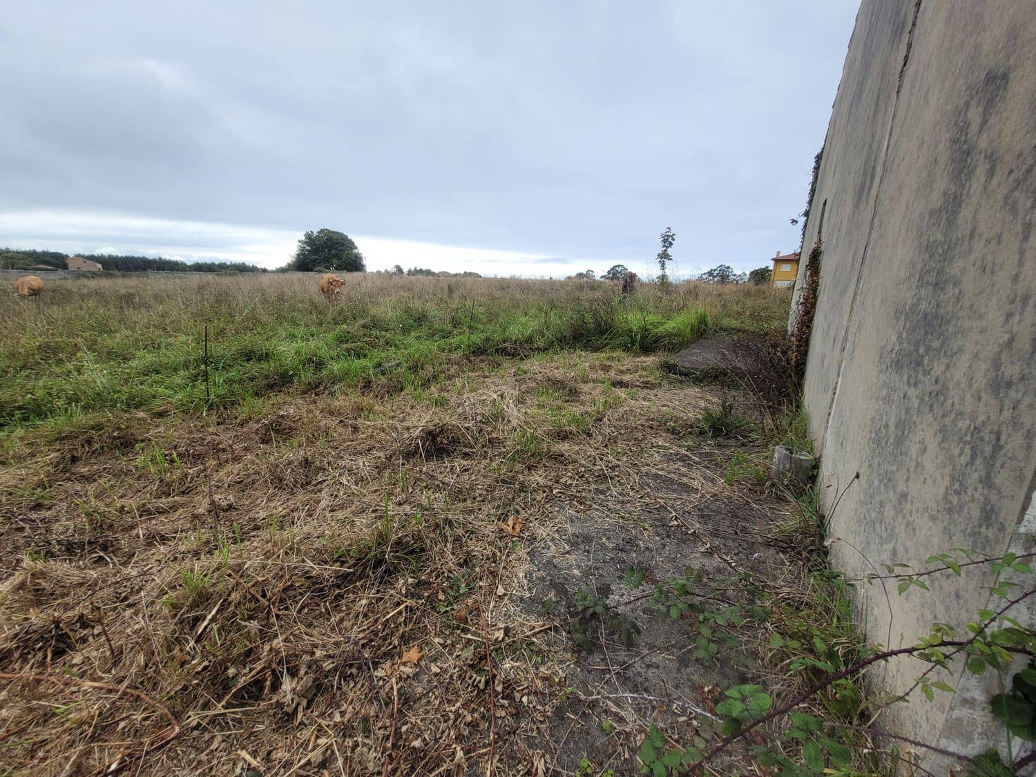 3 camera da letto Finca/Casa di Campagna in vendita in Villaviciosa con garage - 225.000 € (Rif: 7040850)