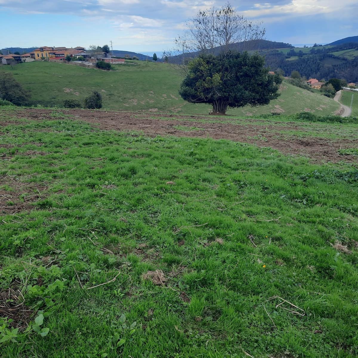 Mark till salu i Cudillero - 38 000 € (Ref: 7172371)