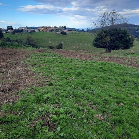 Mark till salu i Cudillero - 38 000 € (Ref: 7172371)