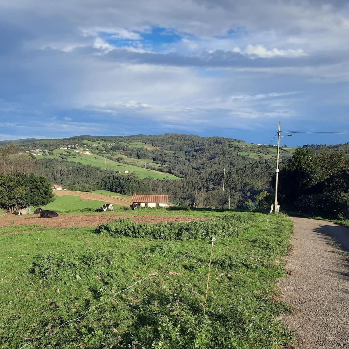 Mark till salu i Cudillero - 38 000 € (Ref: 7172371)