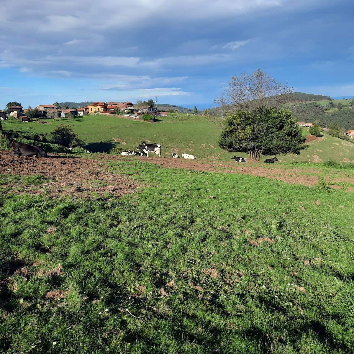 Mark till salu i Cudillero - 38 000 € (Ref: 7172371)