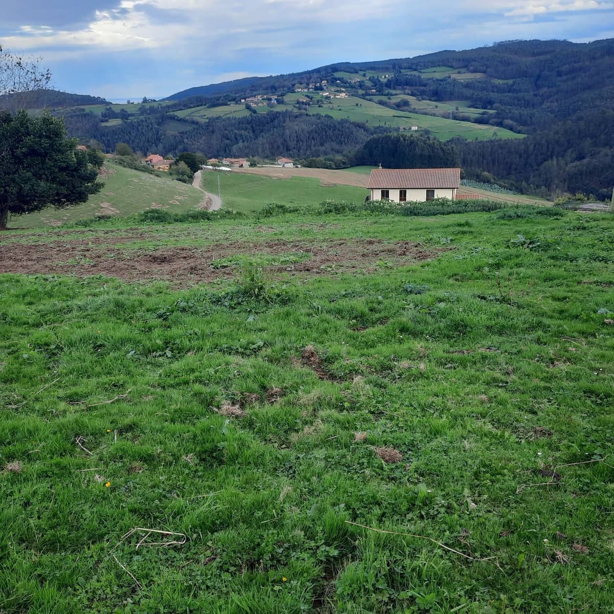 Mark till salu i Cudillero - 38 000 € (Ref: 7172371)