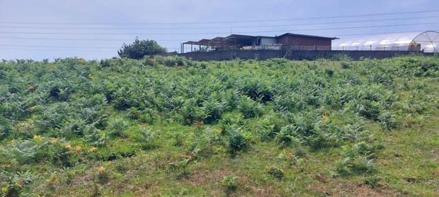 Mark till salu i Gijón - 70 000 € (Ref: 7681376)