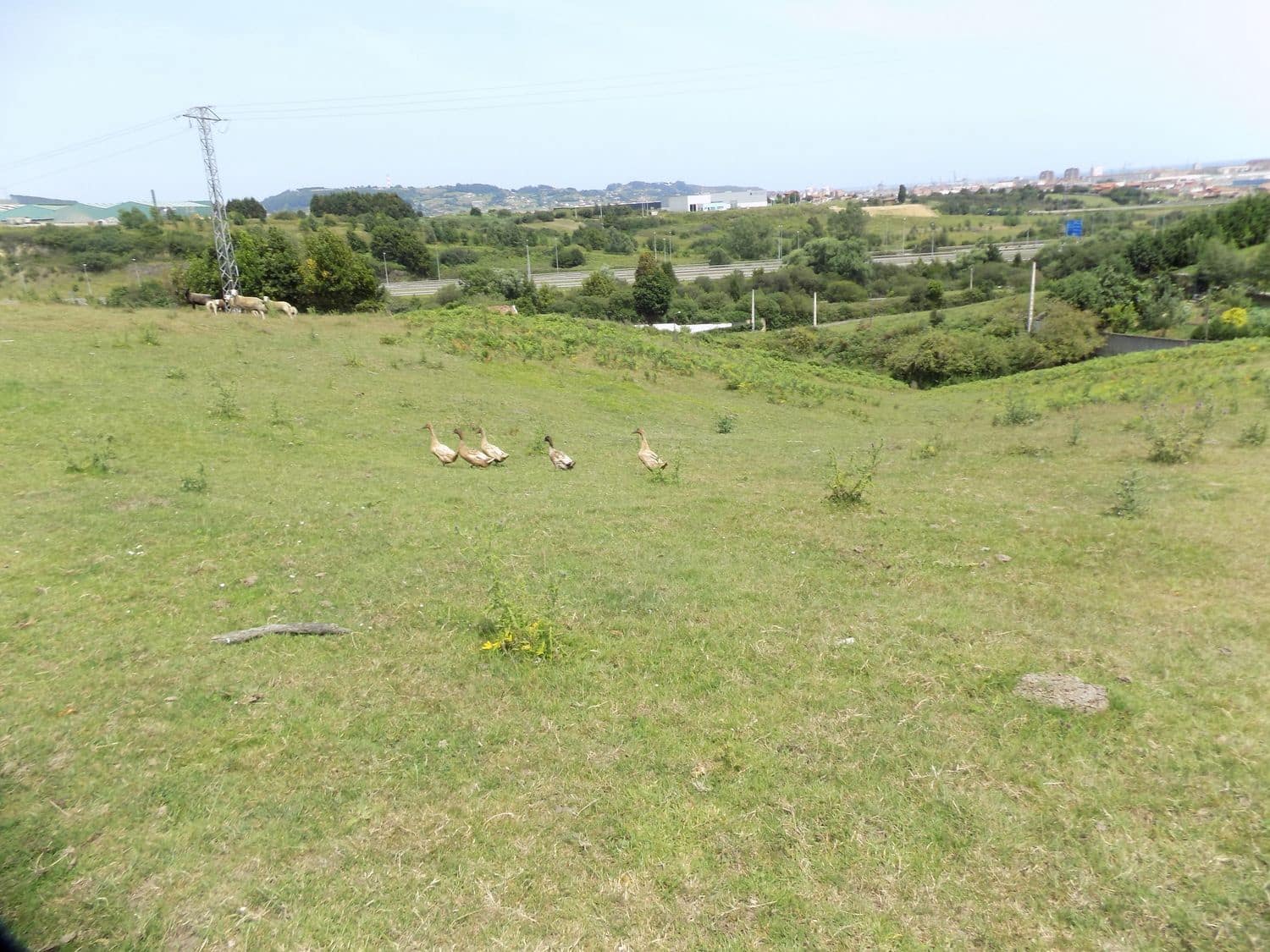 Grond te koop in Gijon - € 70.000 (Ref: 7681376)