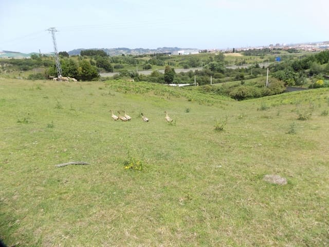 Mark till salu i Gijón - 70 000 € (Ref: 7681376)