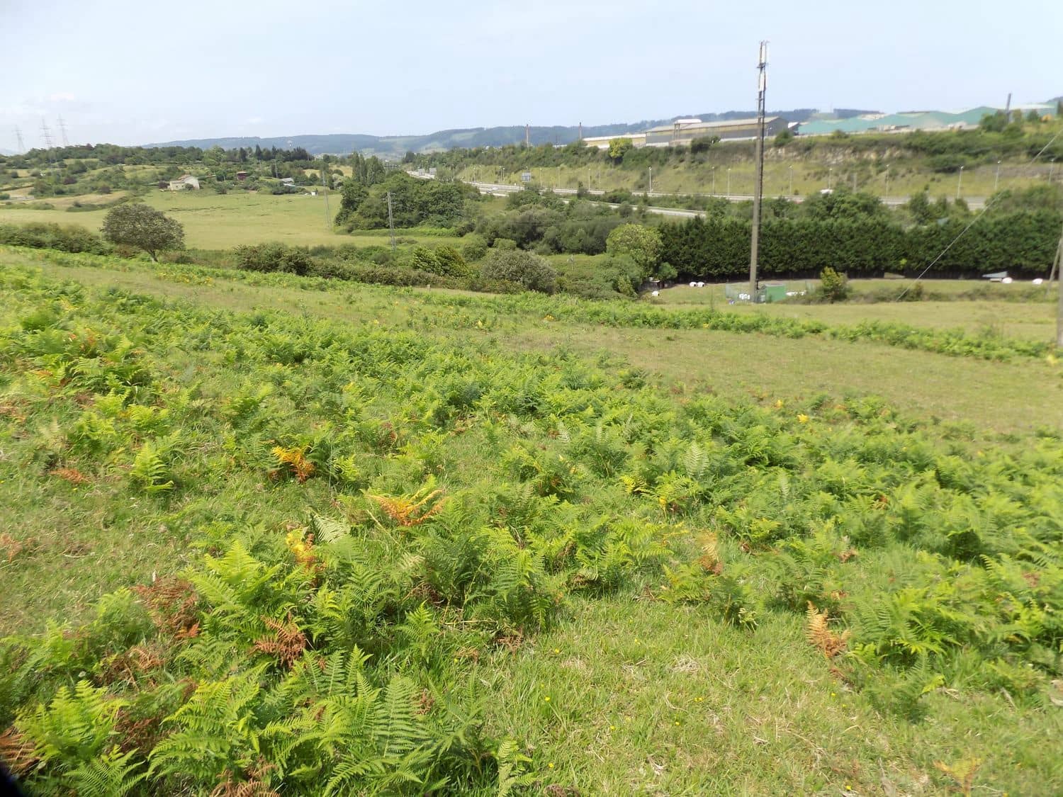 Grond te koop in Gijon - € 70.000 (Ref: 7681376)