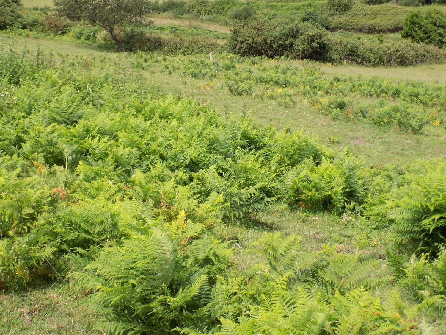 Grond te koop in Gijon - € 70.000 (Ref: 7681376)