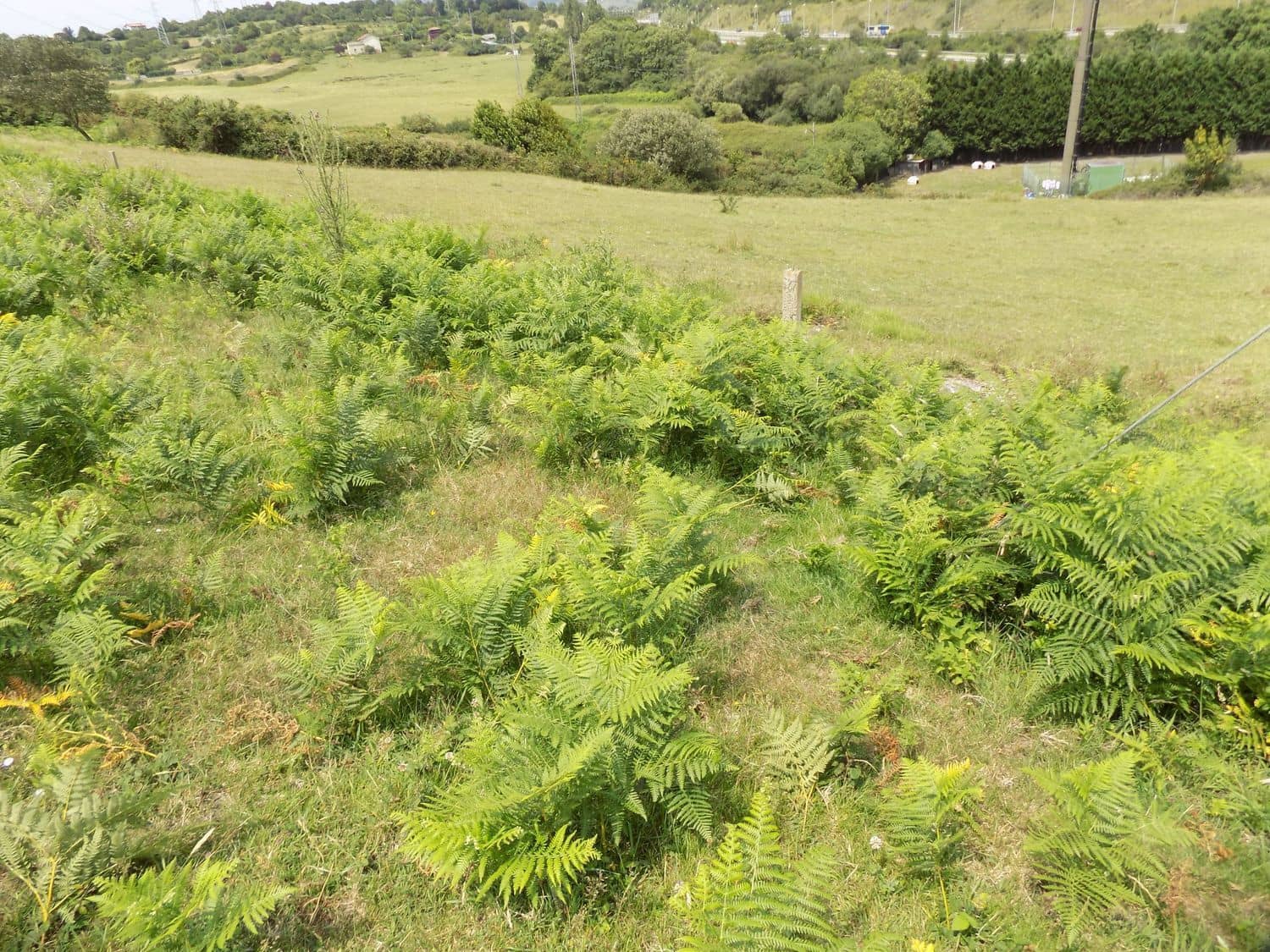 Grond te koop in Gijon - € 70.000 (Ref: 7681376)