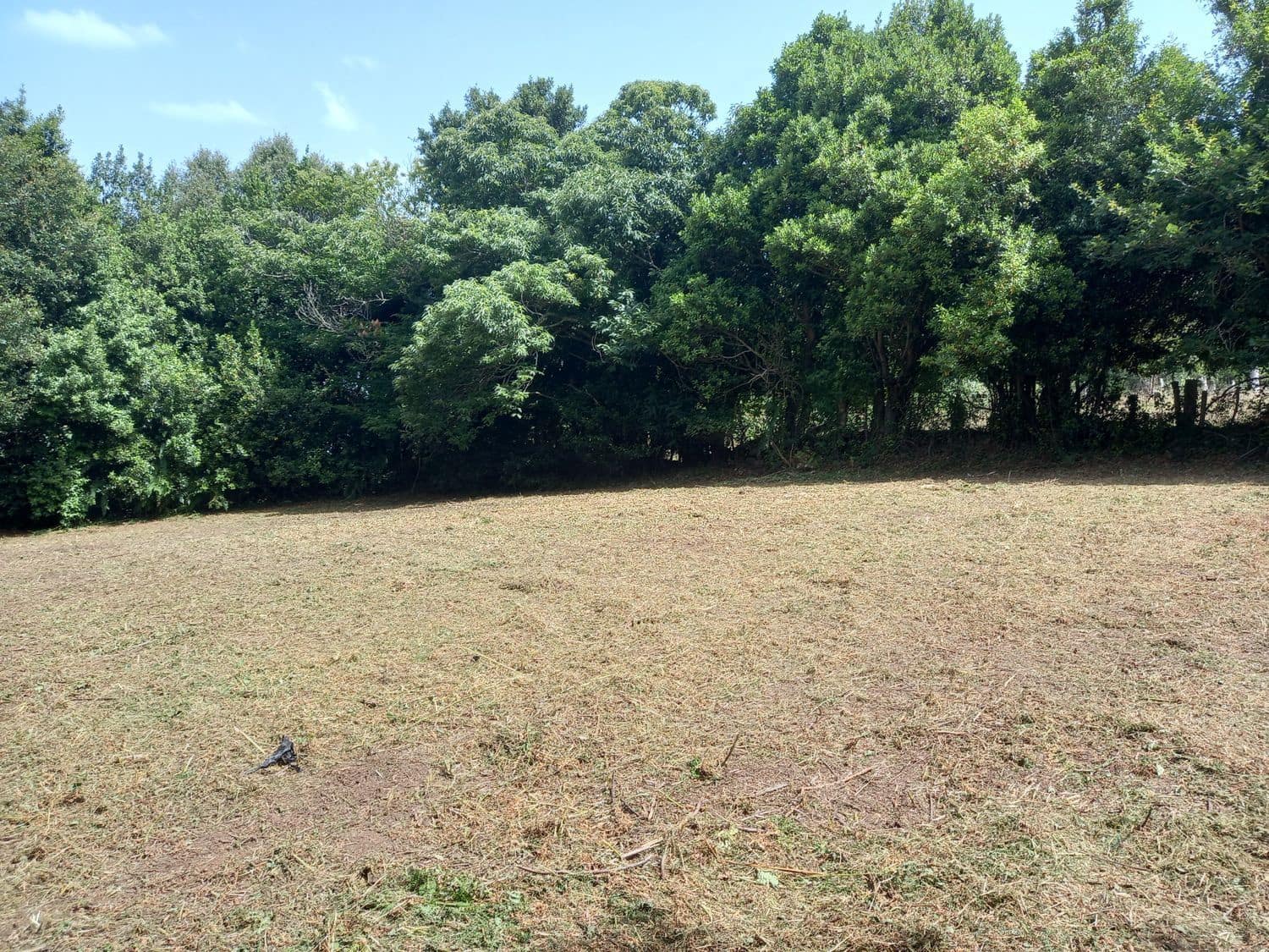 Grunde uden byggetilladelser til salg i Cudillero - € 39.000 (Ref: 7696584)
