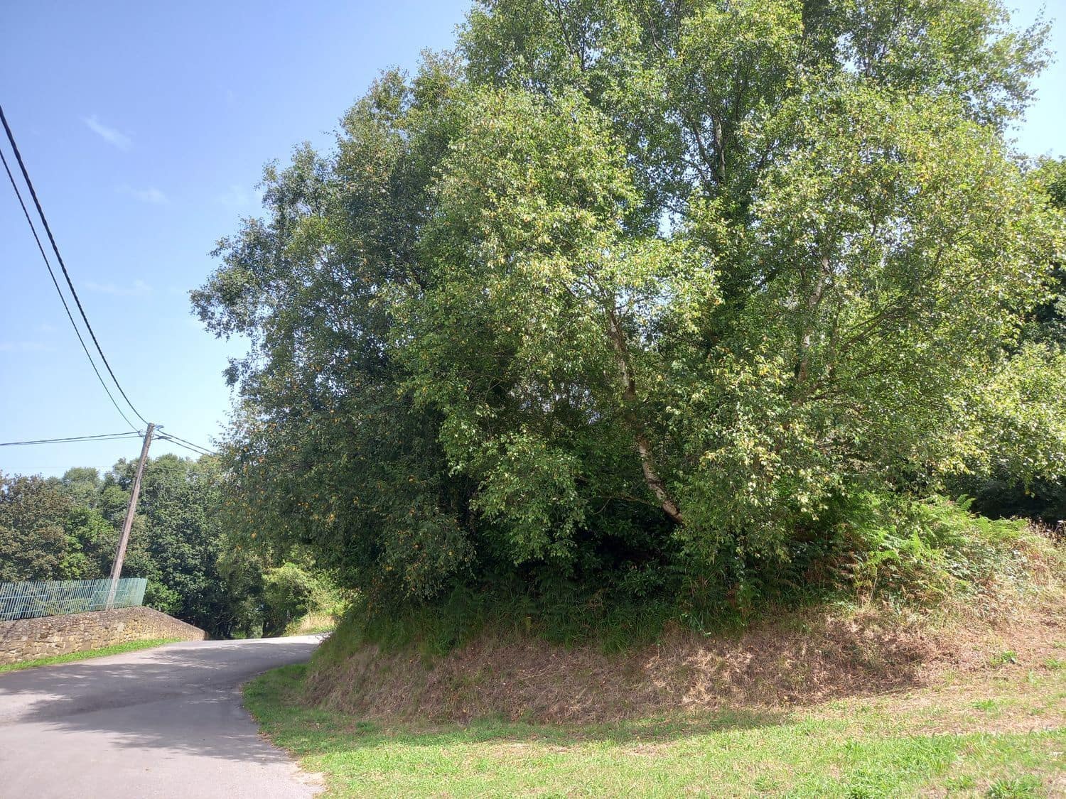 Grond te koop in Cudillero - € 39.000 (Ref: 7696584)