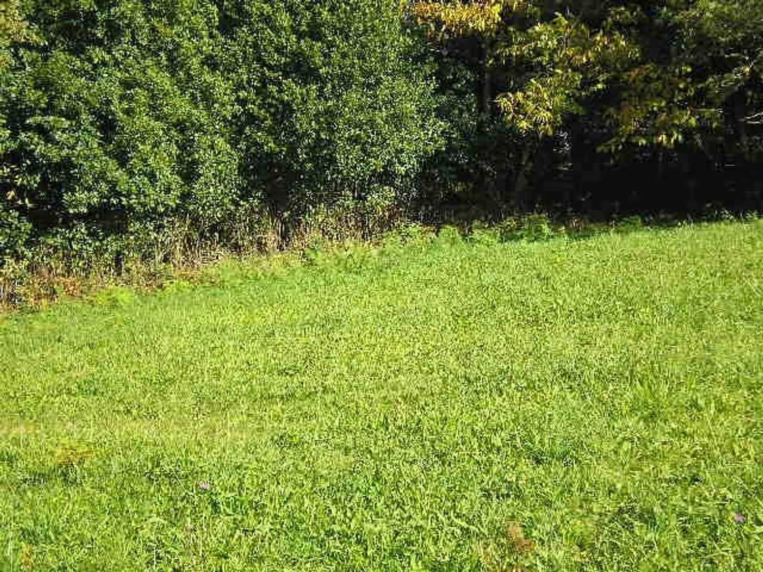 Grond te koop in Cudillero - € 39.000 (Ref: 7696584)