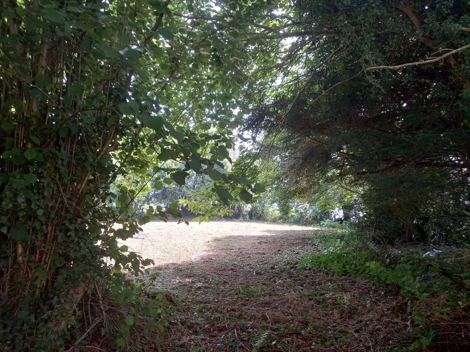 Grond te koop in Cudillero - € 39.000 (Ref: 7696584)