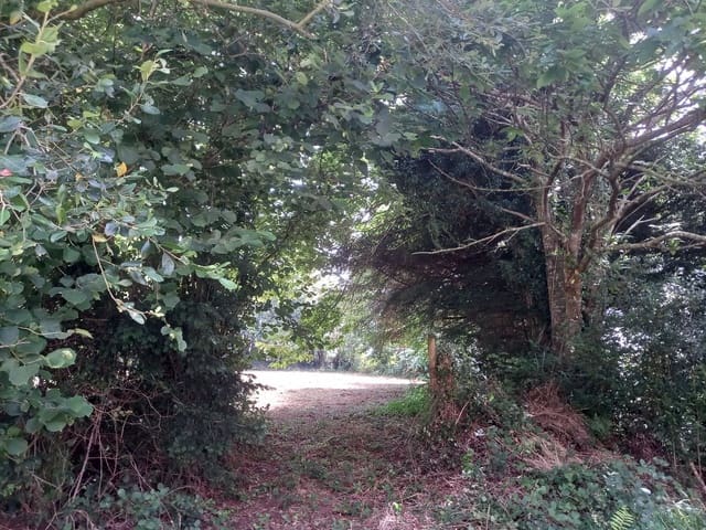 Undeveloped Land for sale in Cudillero - € 39,000 (Ref: 7696584)