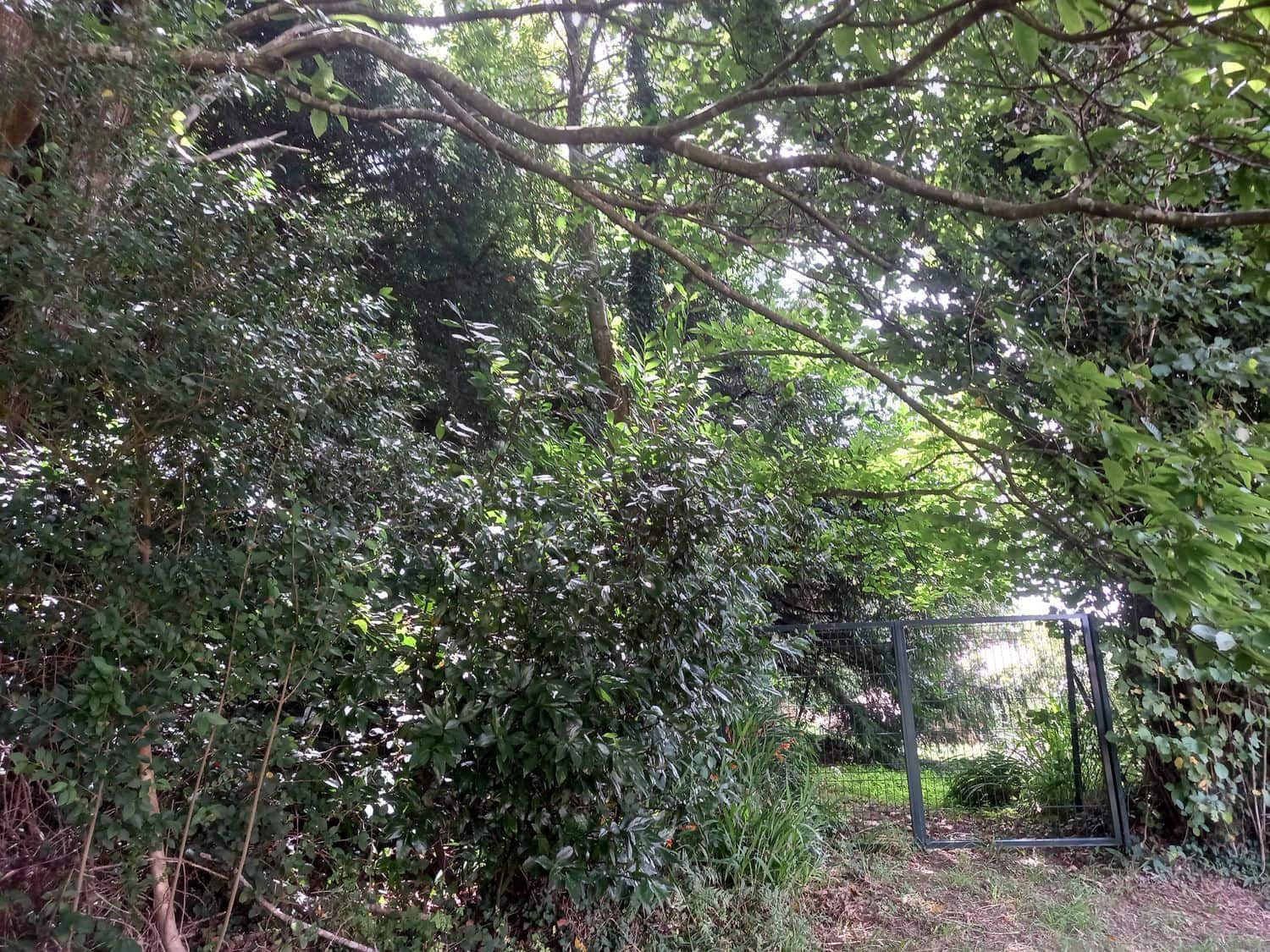 Grond te koop in Cudillero - € 39.000 (Ref: 7696584)