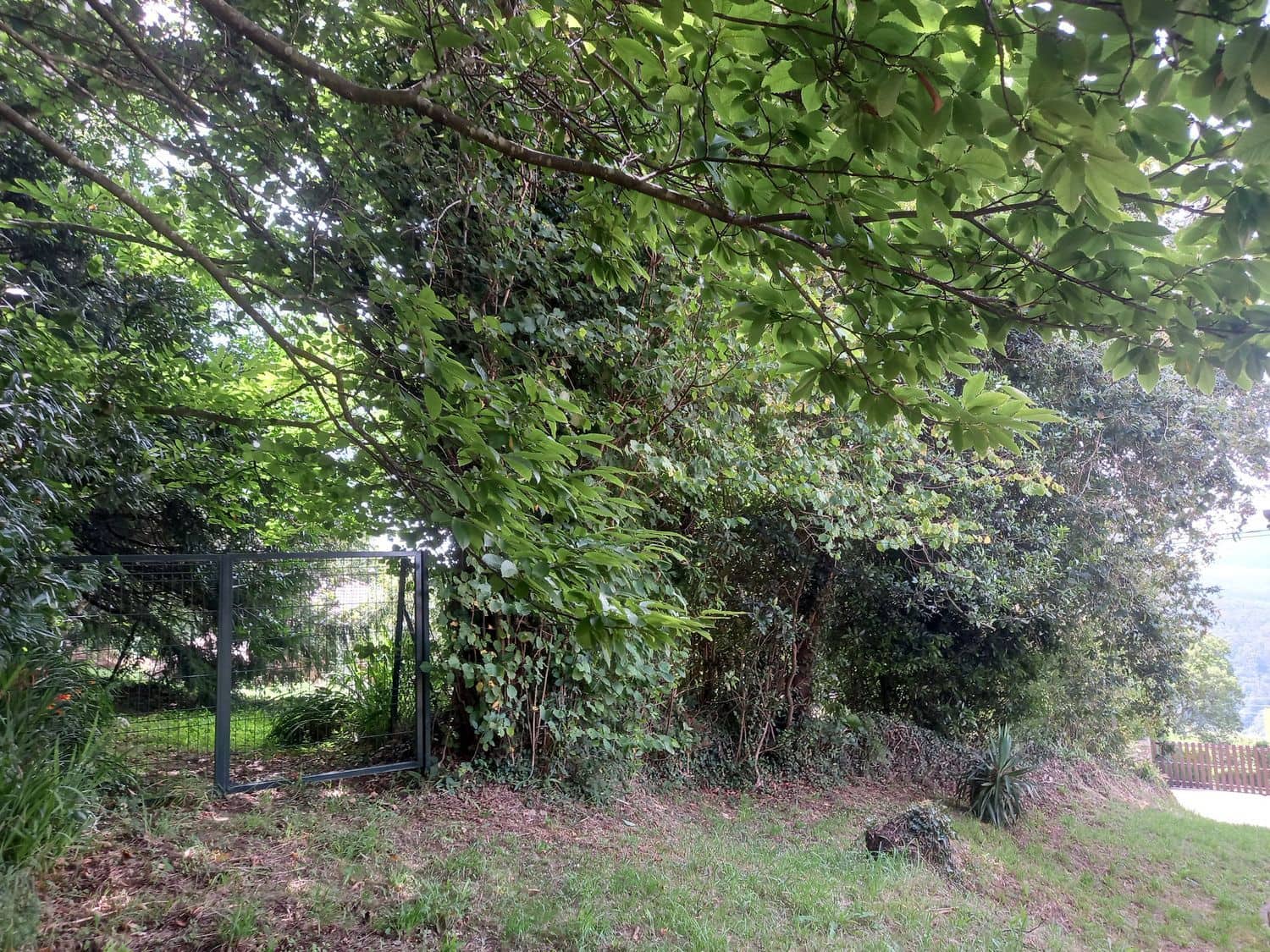 Grond te koop in Cudillero - € 39.000 (Ref: 7696584)