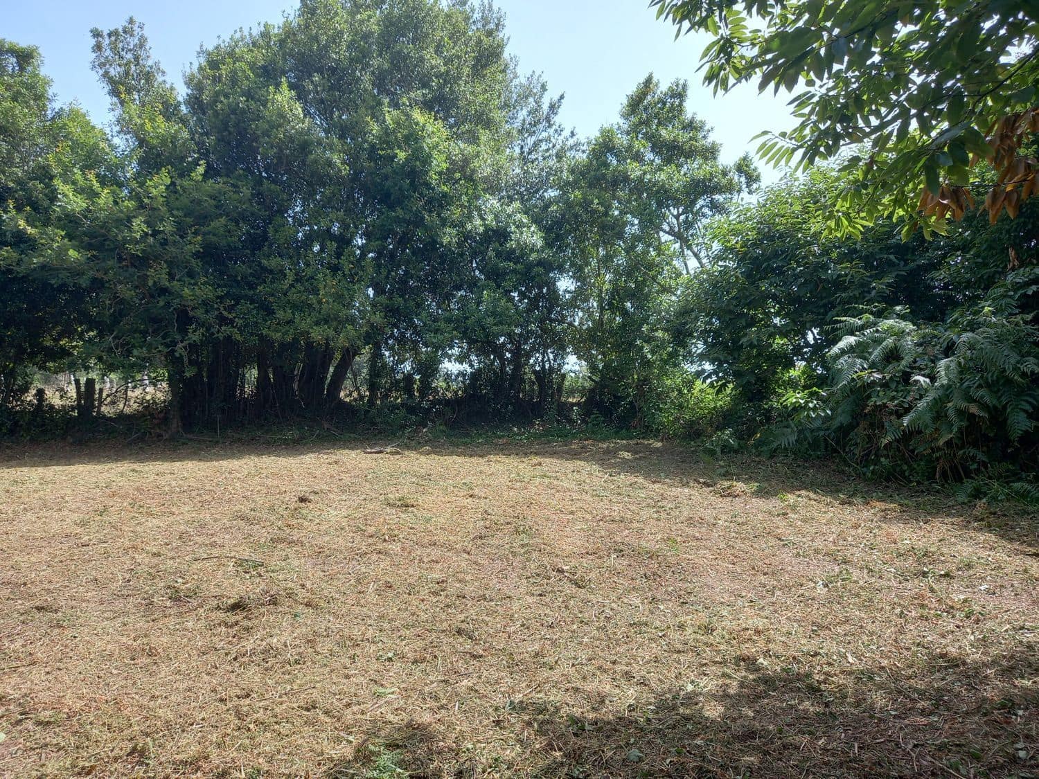 Grond te koop in Cudillero - € 39.000 (Ref: 7696584)