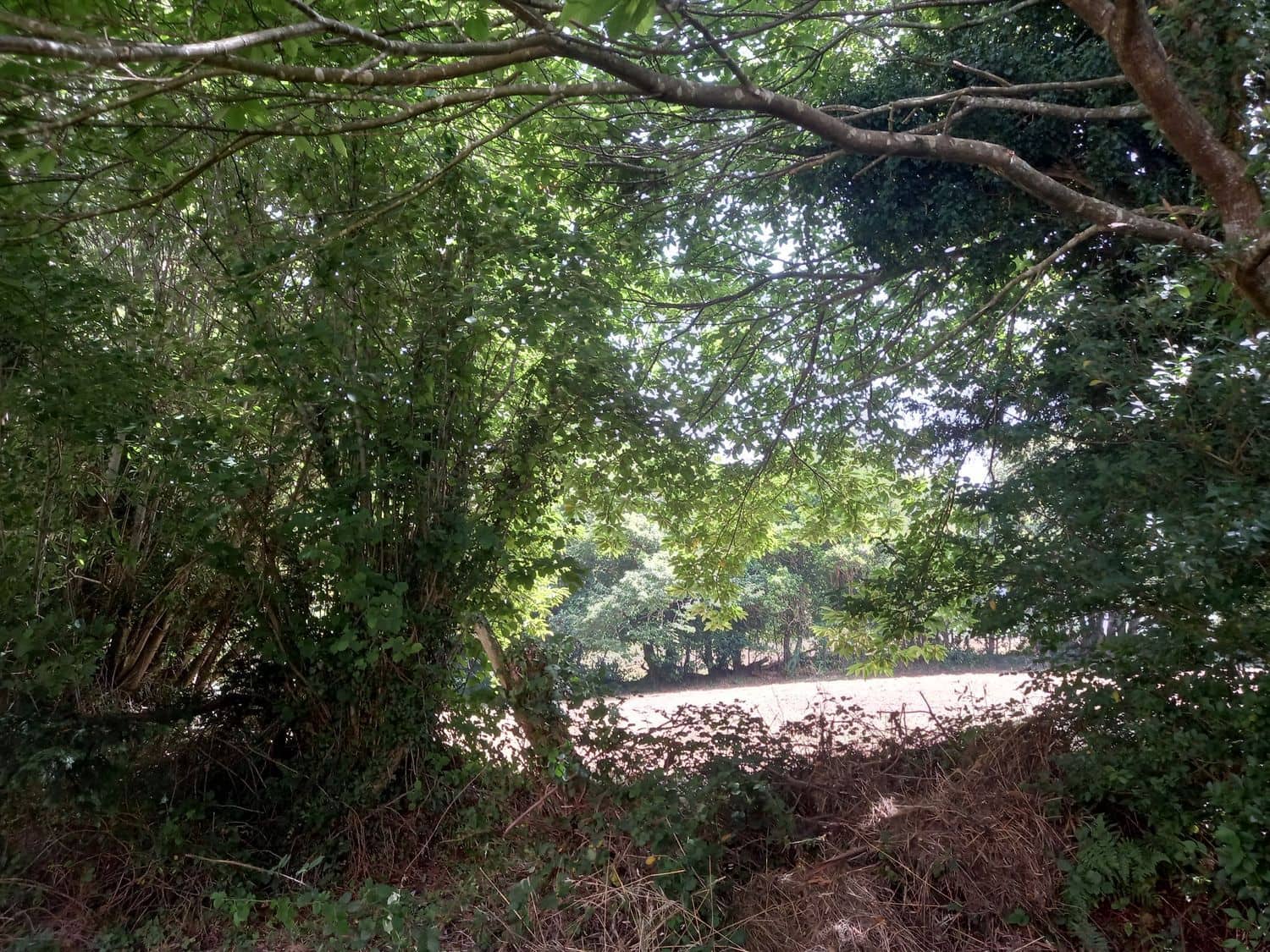 Grond te koop in Cudillero - € 39.000 (Ref: 7696584)