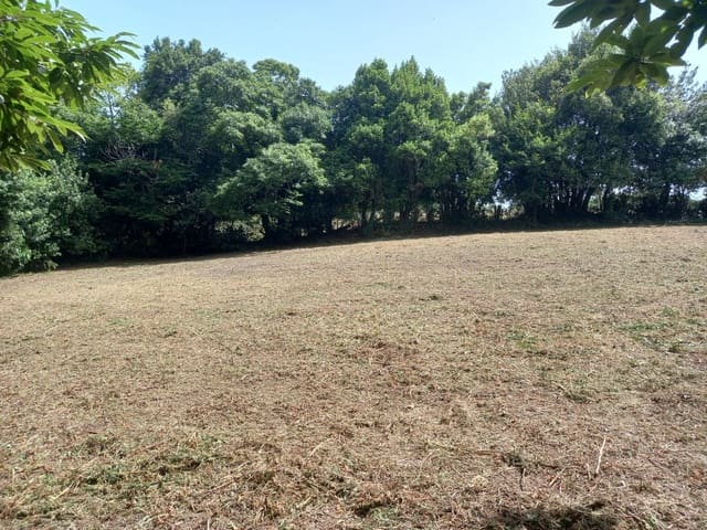 Undeveloped Land for sale in Cudillero - € 39,000 (Ref: 7696584)