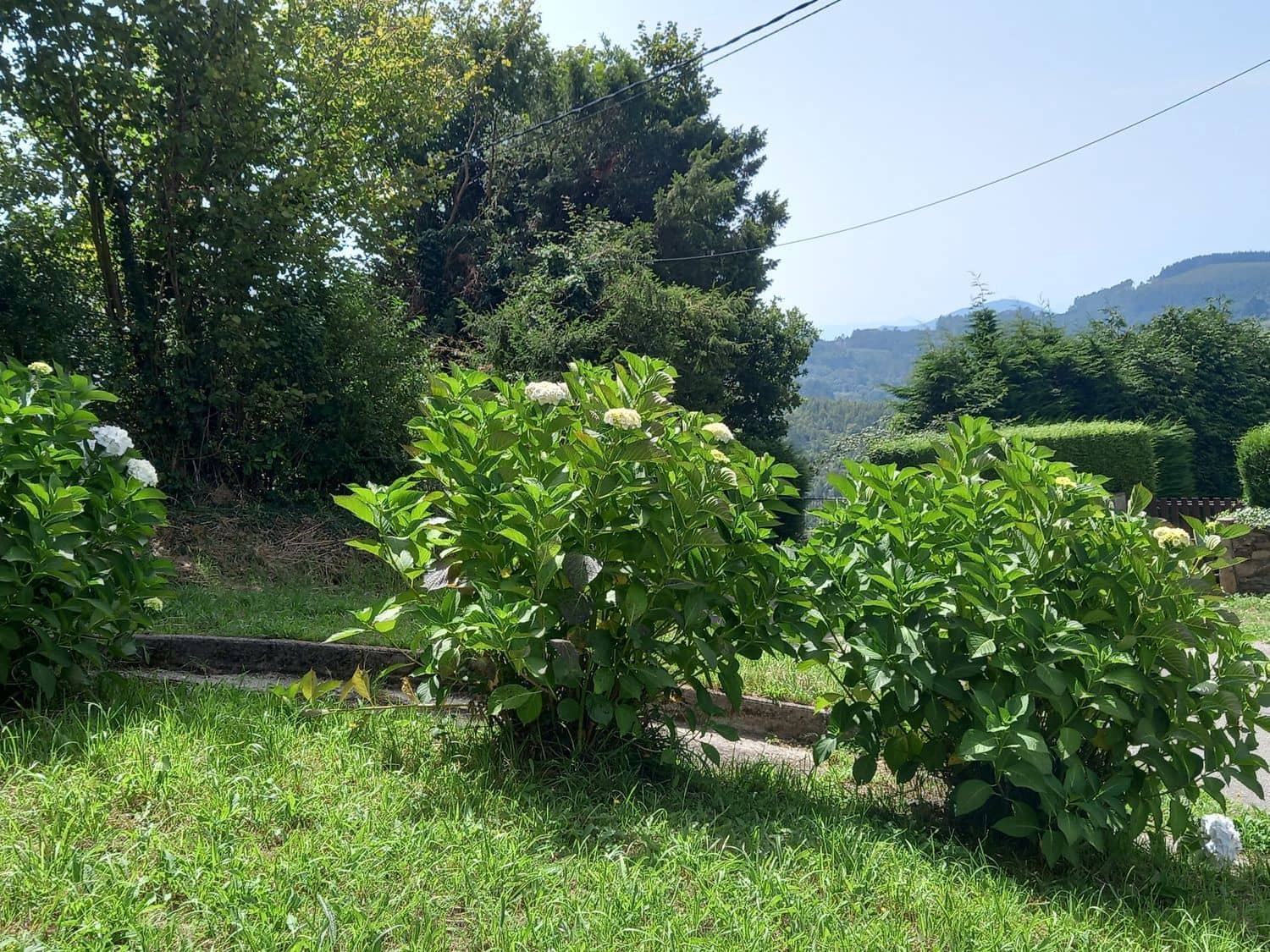 Grond te koop in Cudillero - € 39.000 (Ref: 7696584)