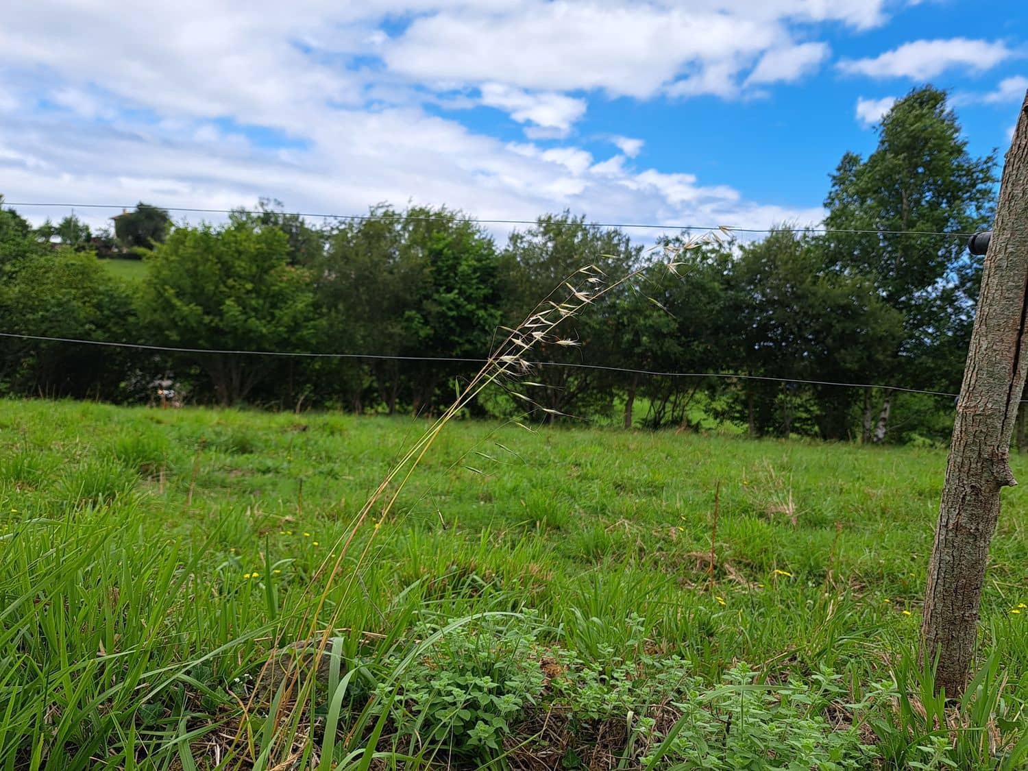 2 soveværelse Finca/Landehus til salg i Ribadesella med garage - € 299.900 (Ref: 7710983)