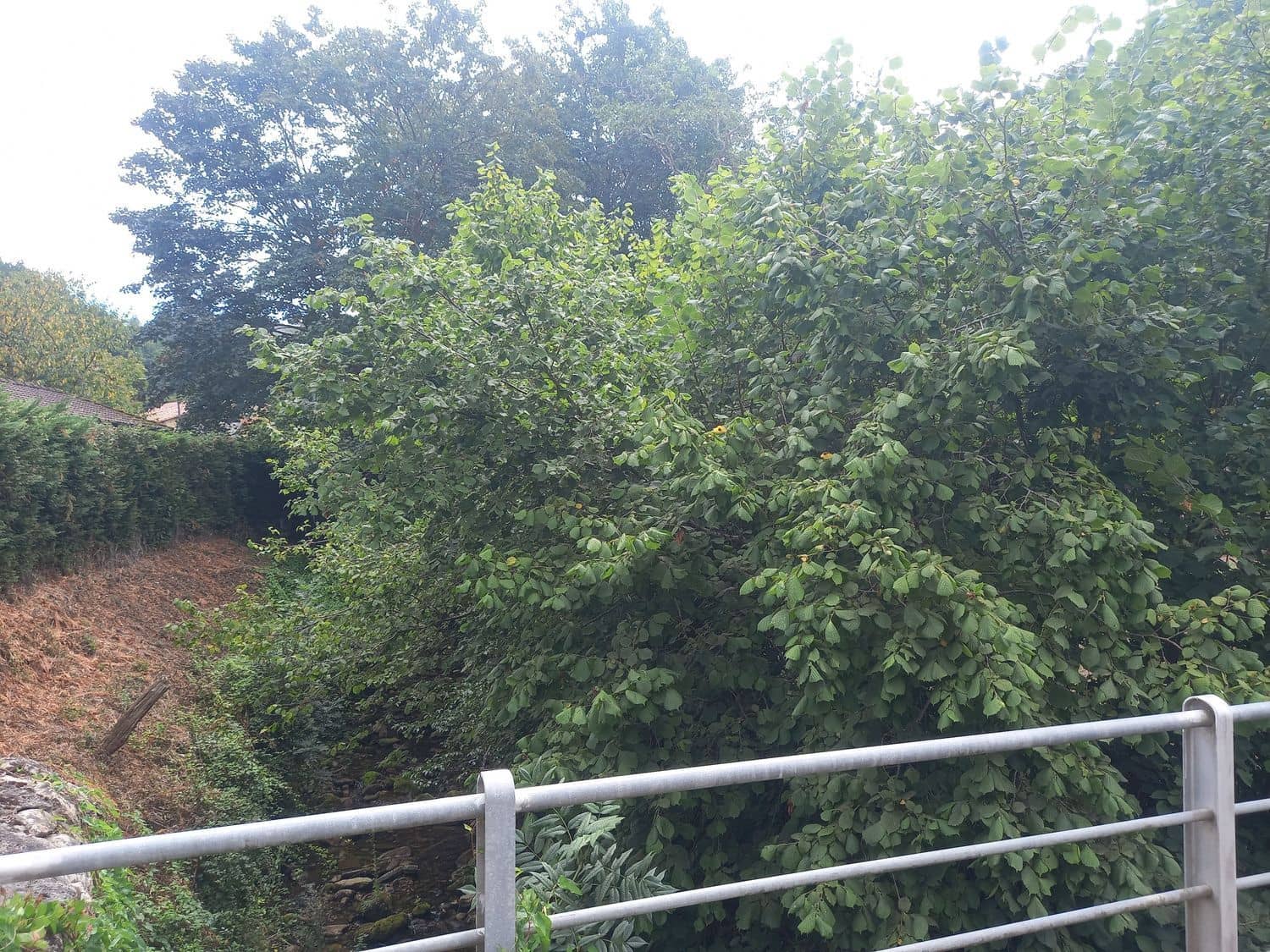 1 soveværelse Finca/Landehus til salg i Pilona - € 35.000 (Ref: 7750255)