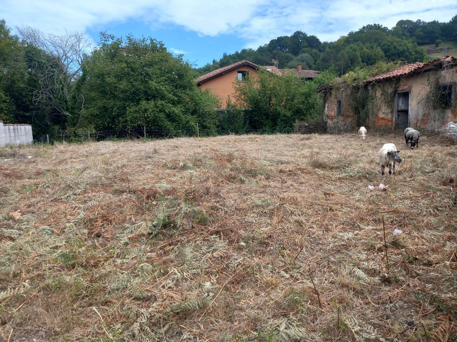 1 soveværelse Finca/Landehus til salg i Pilona - € 35.000 (Ref: 7750255)