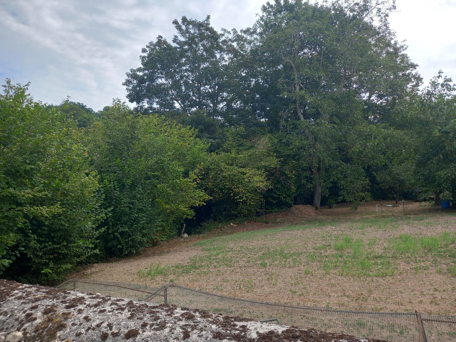 1 soveværelse Finca/Landehus til salg i Pilona - € 35.000 (Ref: 7750255)