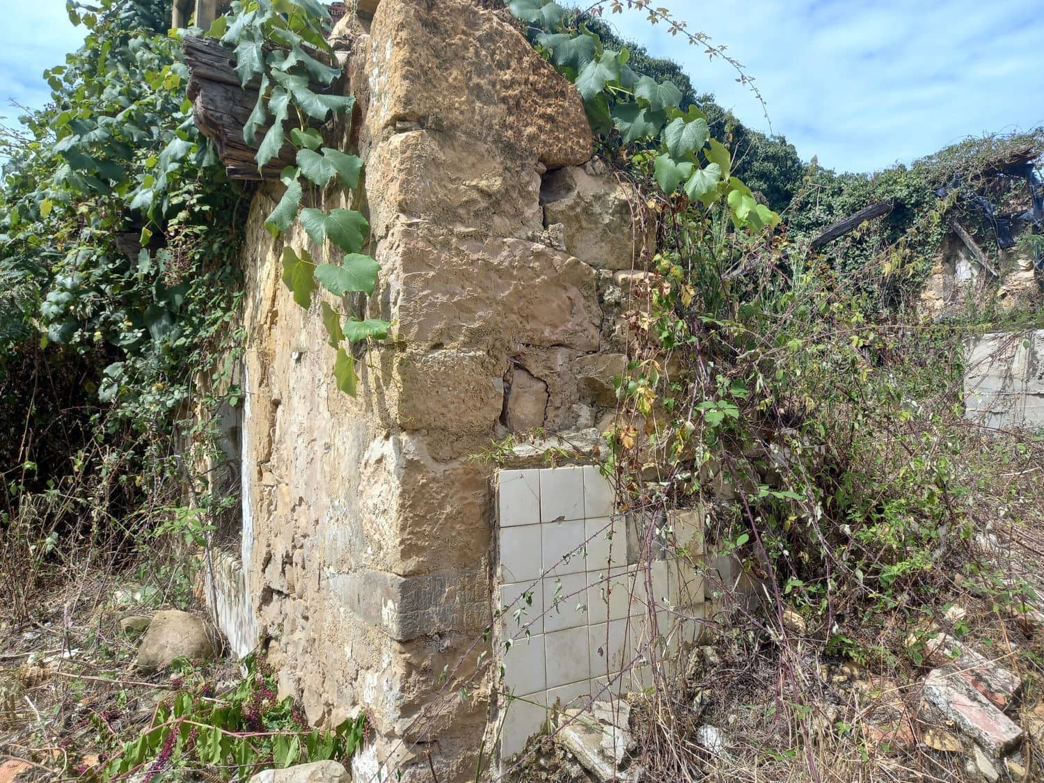 1 soveværelse Finca/Landehus til salg i Pilona - € 35.000 (Ref: 7750255)