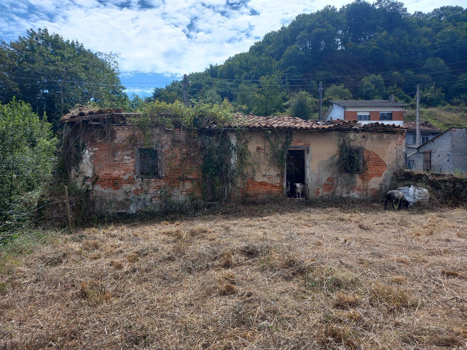 1 soveværelse Finca/Landehus til salg i Pilona - € 35.000 (Ref: 7750255)