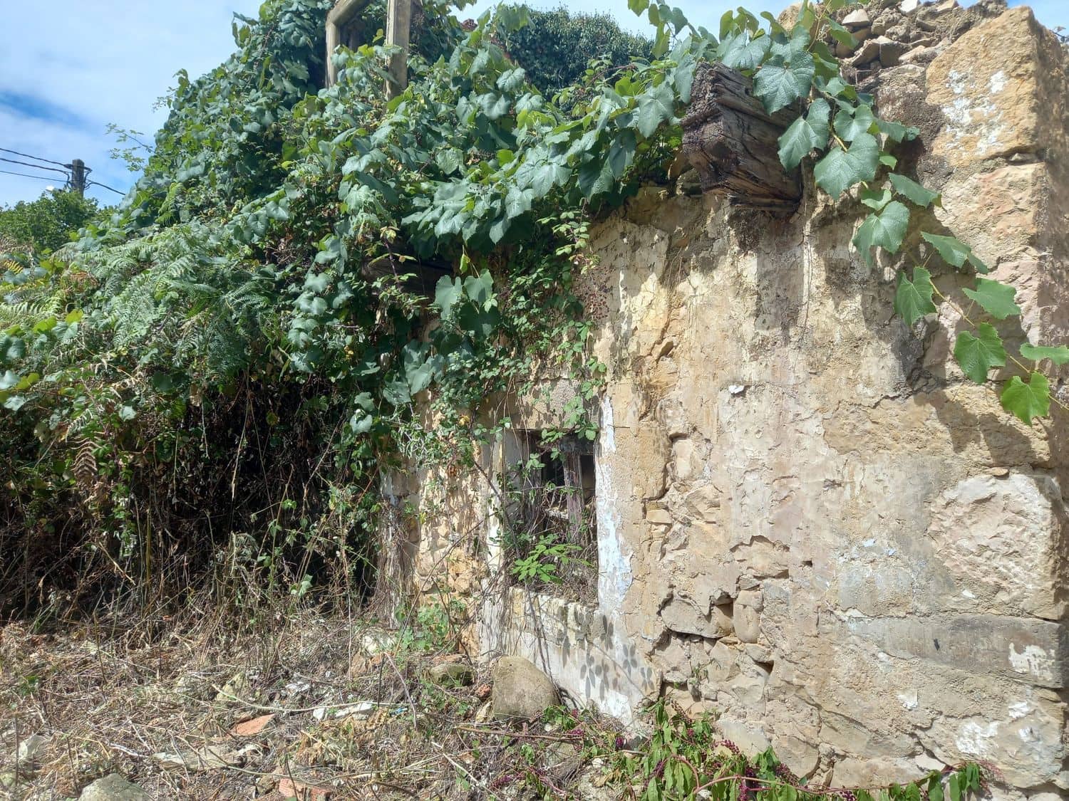 1 soveværelse Finca/Landehus til salg i Pilona - € 35.000 (Ref: 7750255)