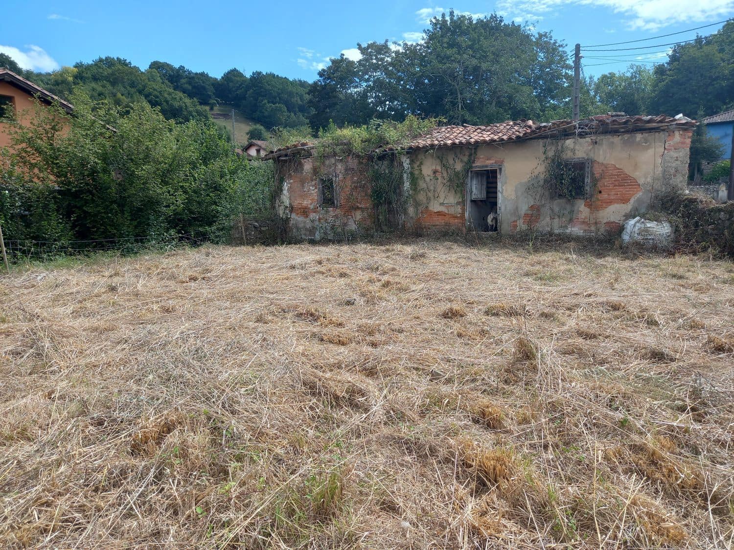 1 soveværelse Finca/Landehus til salg i Pilona - € 35.000 (Ref: 7750255)