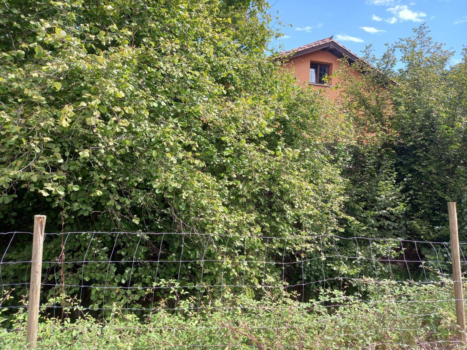 1 soveværelse Finca/Landehus til salg i Pilona - € 35.000 (Ref: 7750255)