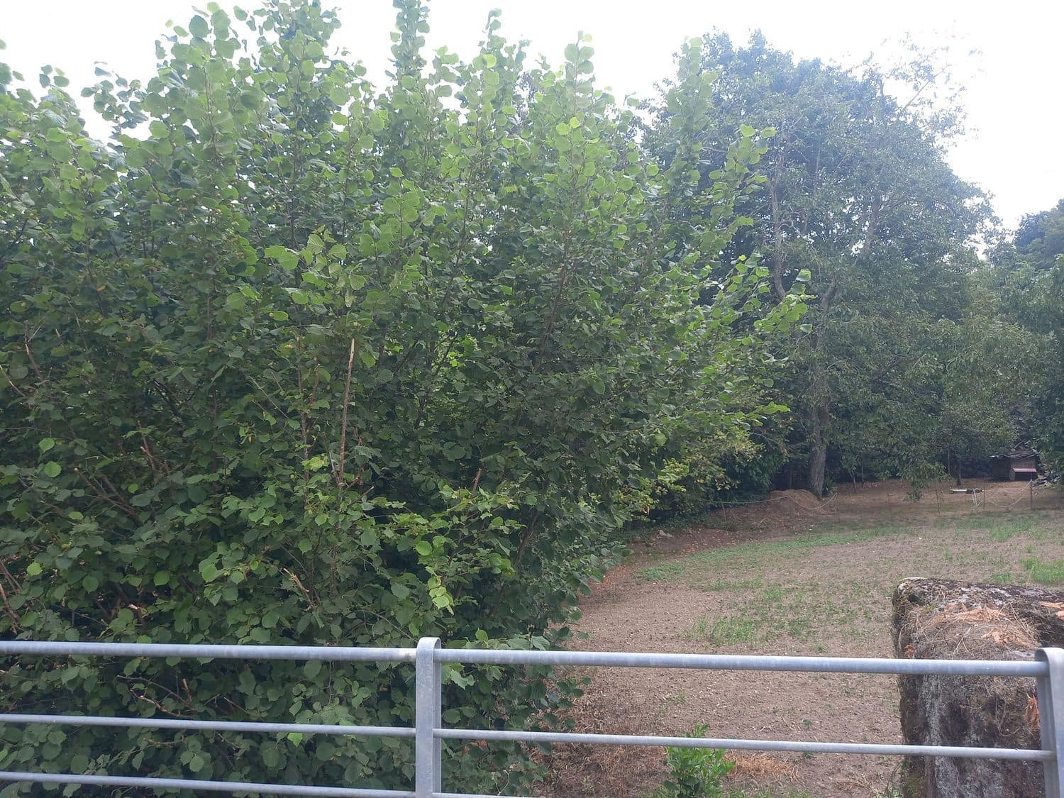 1 soveværelse Finca/Landehus til salg i Pilona - € 35.000 (Ref: 7750255)