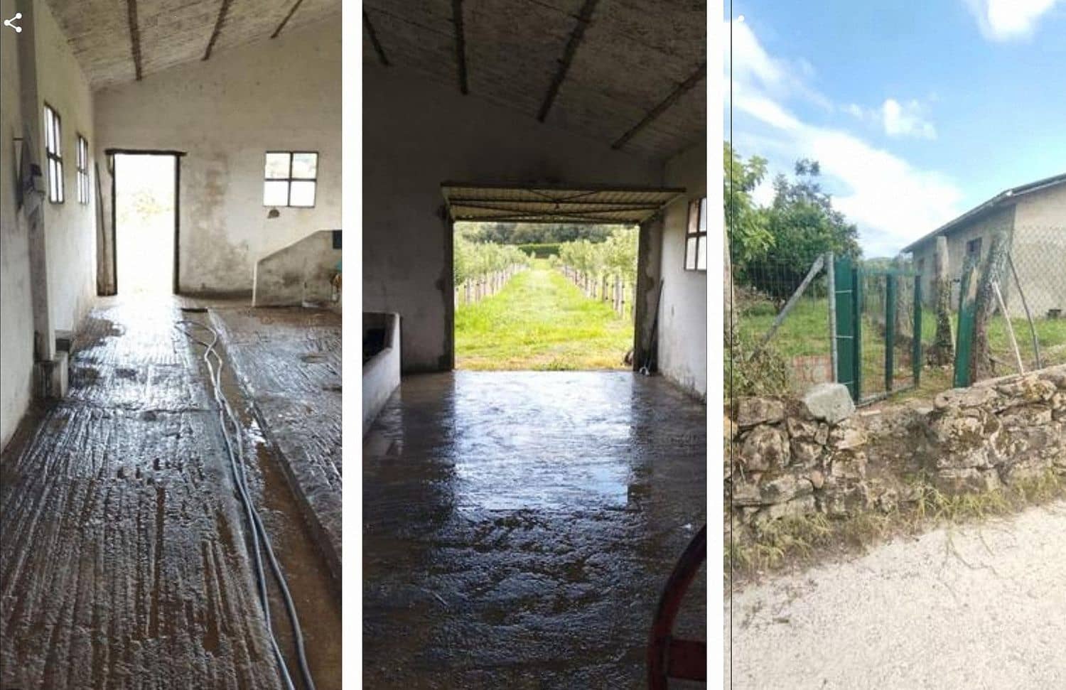 Erhverv til leje i Siero - € 500 (Ref: 7987259)