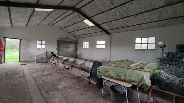 Commercieel te huur in Siero - € 500 (Ref: 7987259)