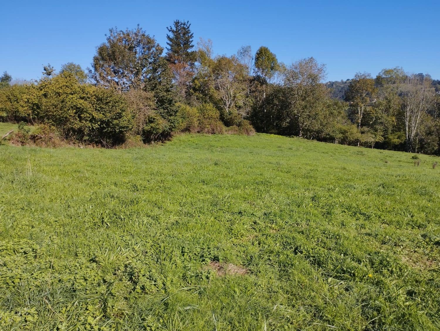 Grunde uden byggetilladelser til salg i Nava - € 70.000 (Ref: 8084604)