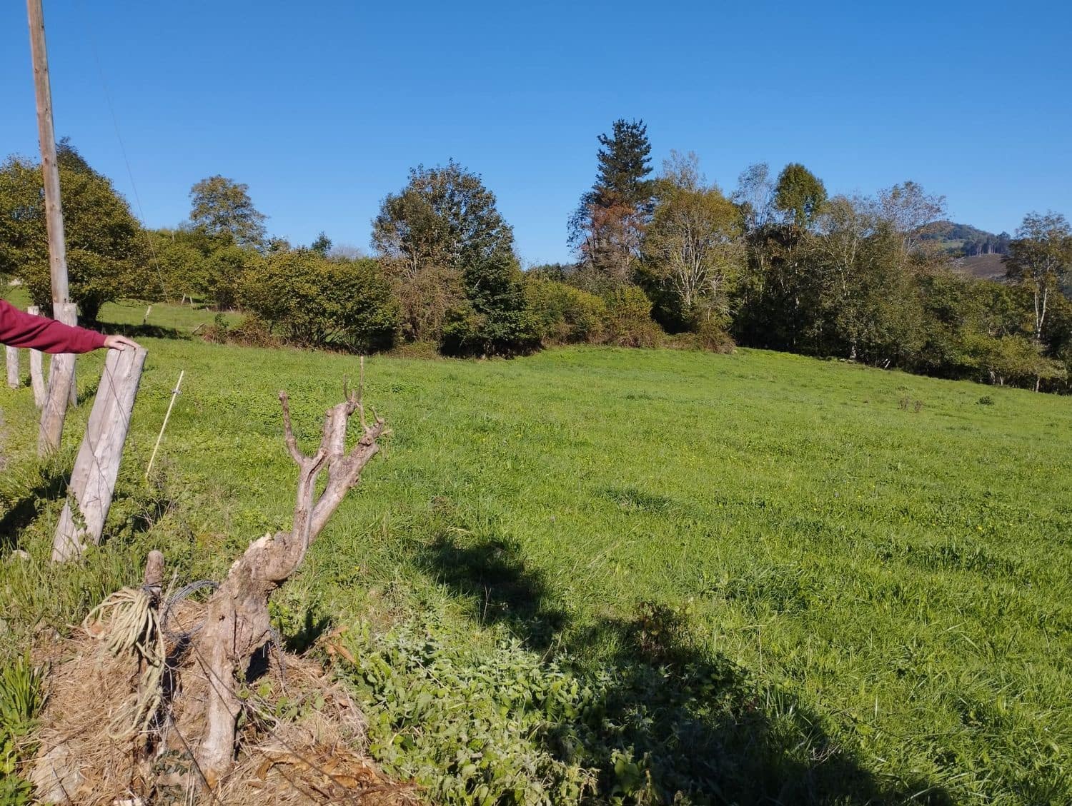 Grunde uden byggetilladelser til salg i Nava - € 70.000 (Ref: 8084604)