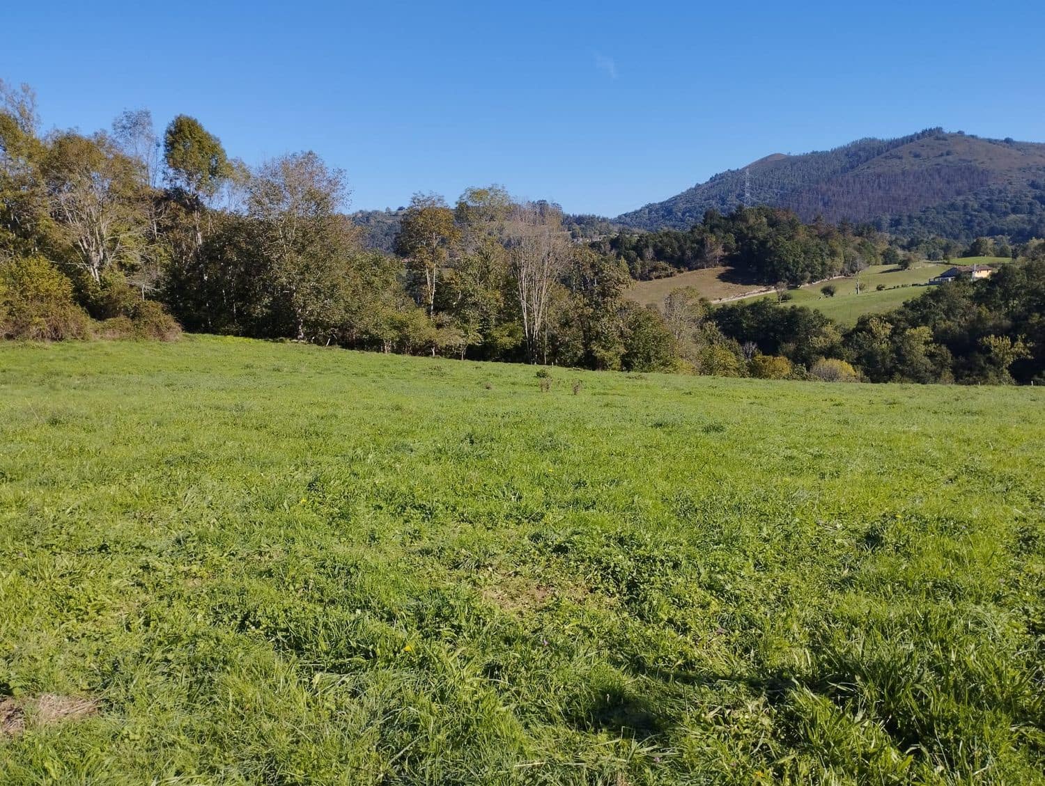 Grunde uden byggetilladelser til salg i Nava - € 70.000 (Ref: 8084604)