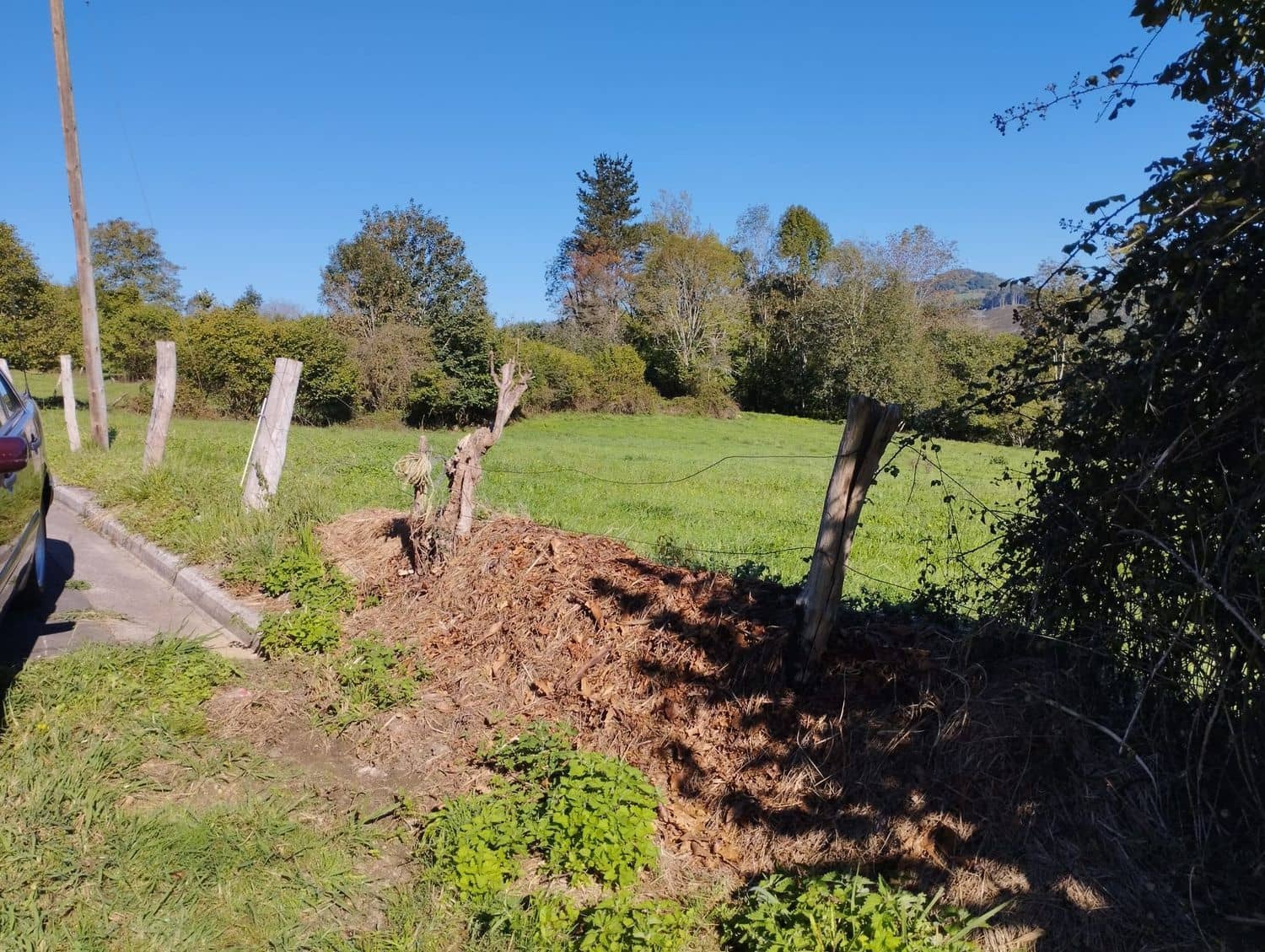 Grunde uden byggetilladelser til salg i Nava - € 70.000 (Ref: 8084604)