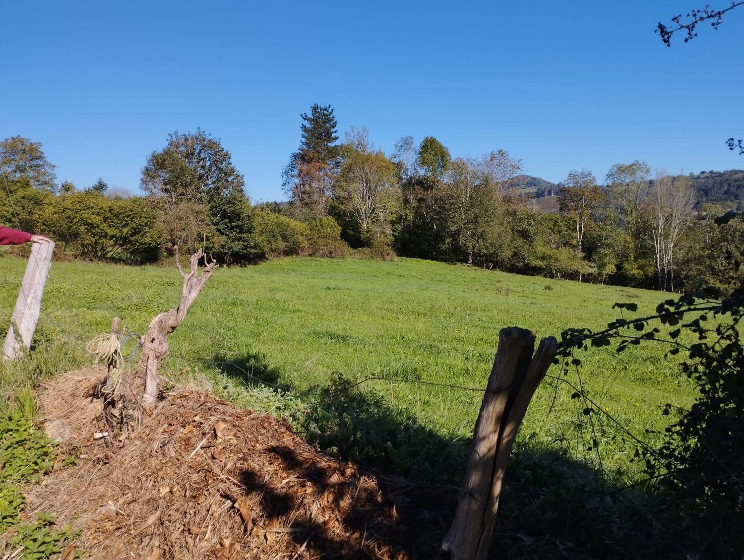 Grunde uden byggetilladelser til salg i Nava - € 70.000 (Ref: 8084604)