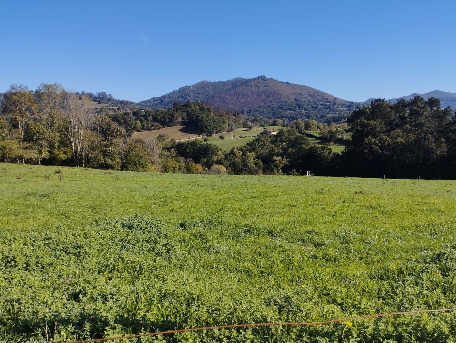 Grunde uden byggetilladelser til salg i Nava - € 70.000 (Ref: 8084604)