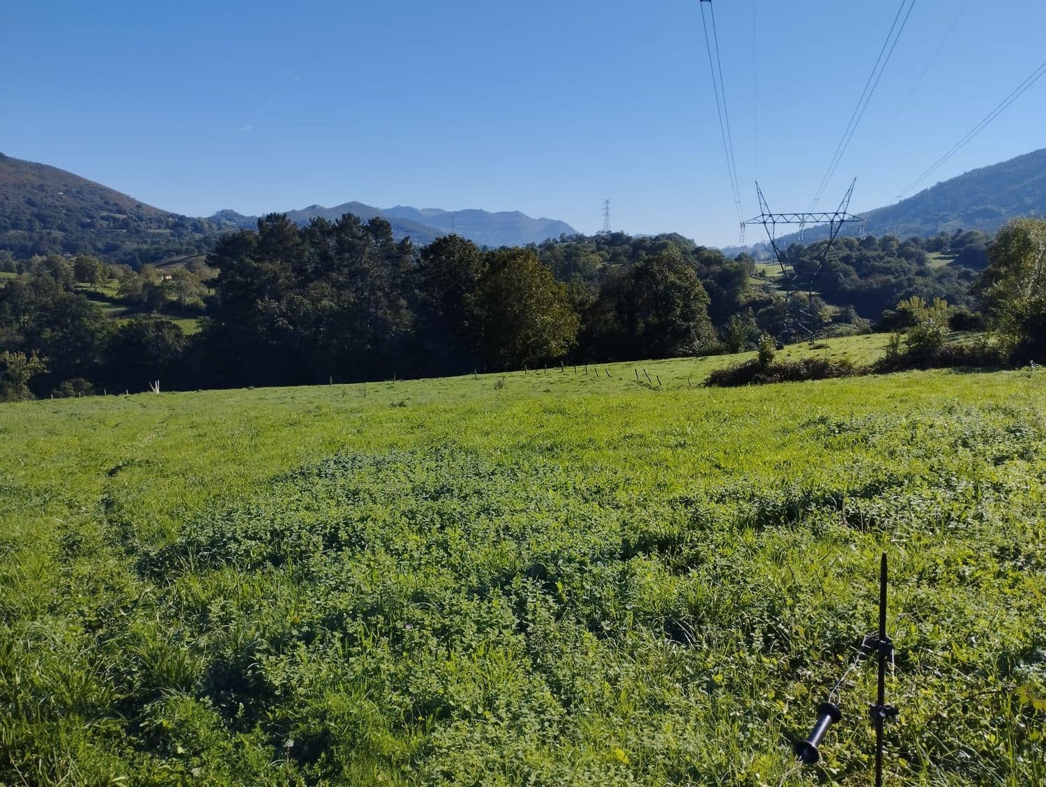 Grunde uden byggetilladelser til salg i Nava - € 70.000 (Ref: 8084604)