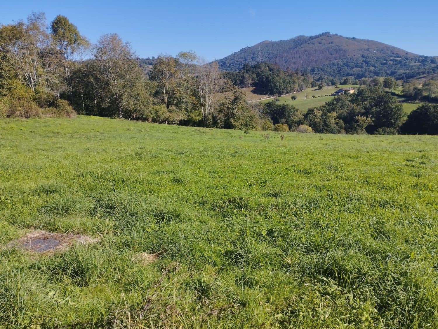 Grunde uden byggetilladelser til salg i Nava - € 70.000 (Ref: 8084604)