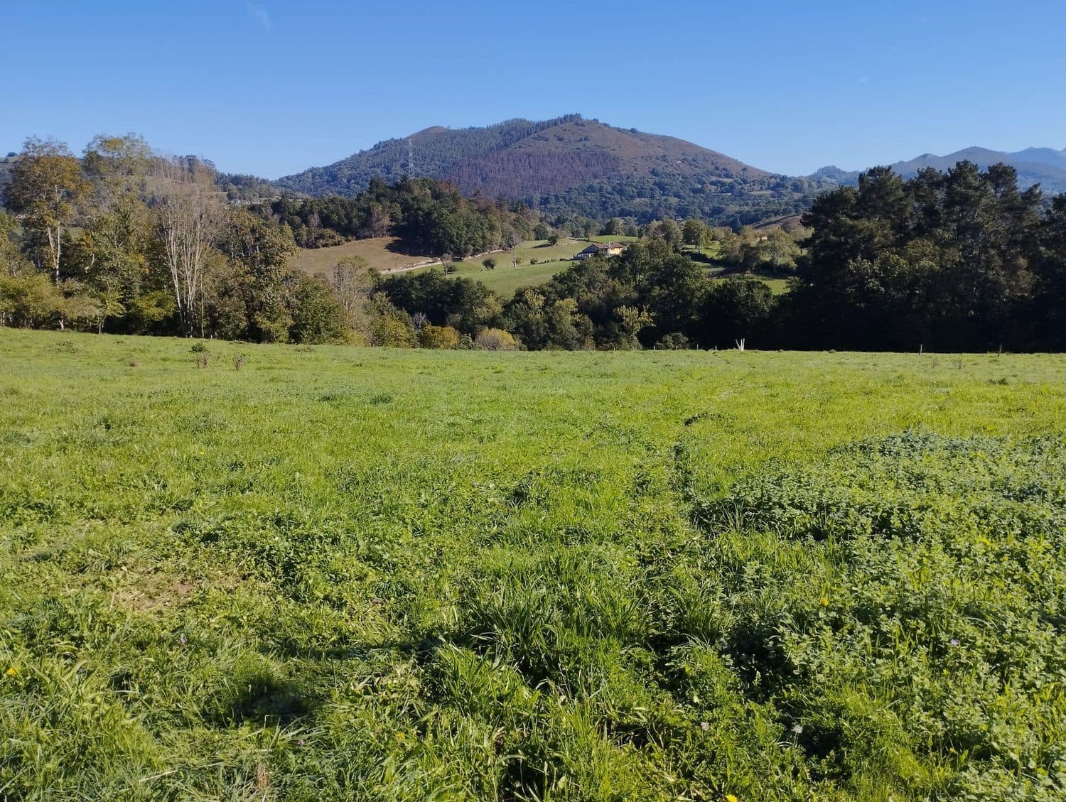 Grunde uden byggetilladelser til salg i Nava - € 70.000 (Ref: 8084604)