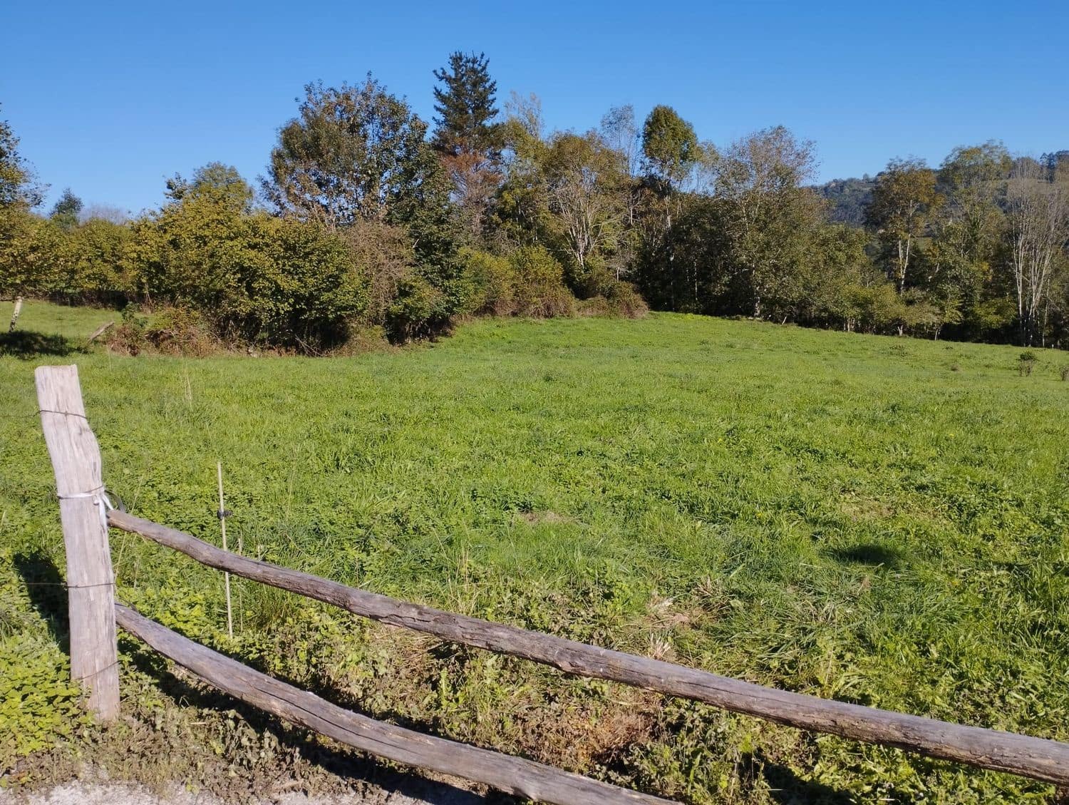 Grunde uden byggetilladelser til salg i Nava - € 70.000 (Ref: 8084604)