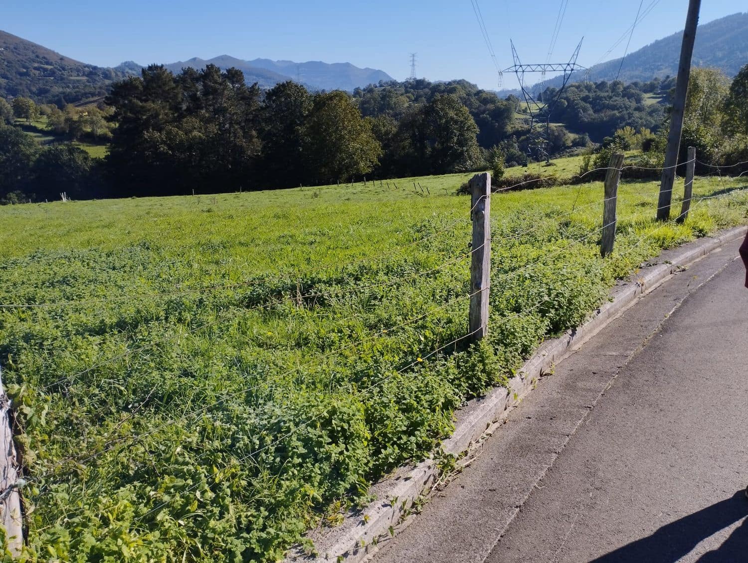 Grunde uden byggetilladelser til salg i Nava - € 70.000 (Ref: 8084604)