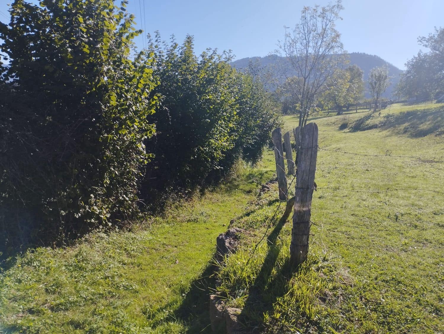 Grunde uden byggetilladelser til salg i Nava - € 70.000 (Ref: 8084604)