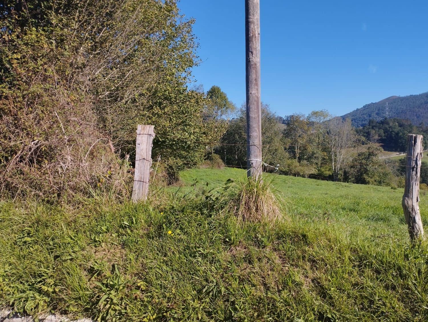 Grunde uden byggetilladelser til salg i Nava - € 70.000 (Ref: 8084604)