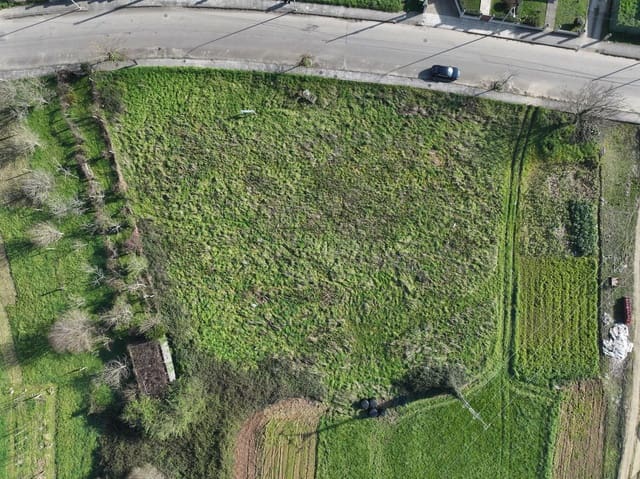 Undeveloped Land for sale in Mondoñedo - € 225,000 (Ref: 8084621)