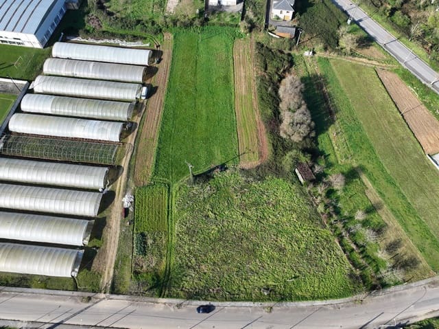 Undeveloped Land for sale in Mondoñedo - € 225,000 (Ref: 8084621)